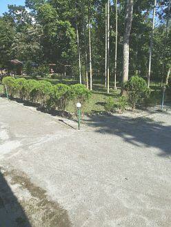 Maa Tara Resort, Lataguri 2
